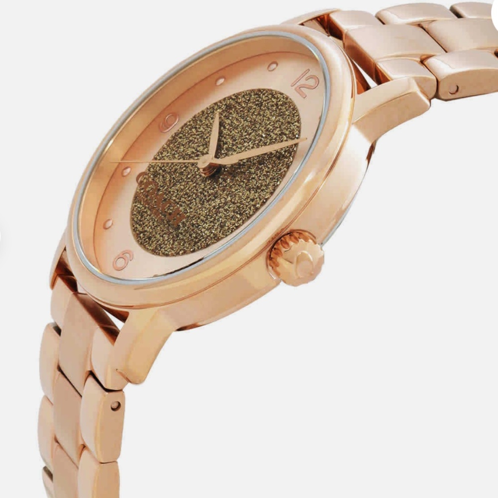 Coach Watch - Picture 2 of 3